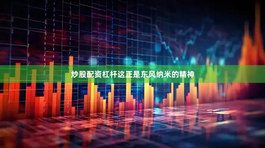 炒股配资杠杆这正是东风纳米的精神