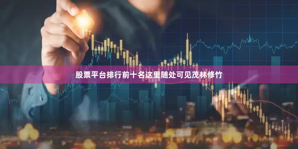 股票平台排行前十名这里随处可见茂林修竹