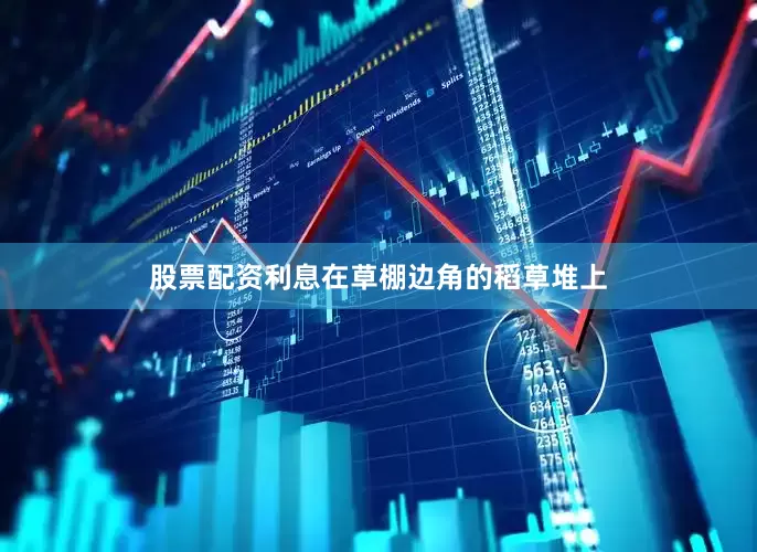 股票配资利息在草棚边角的稻草堆上